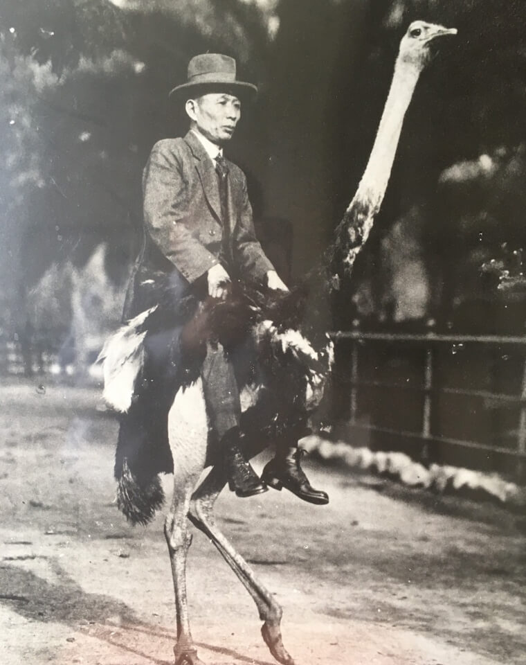 Imoto Shoten Co. Founded in Nagoya City