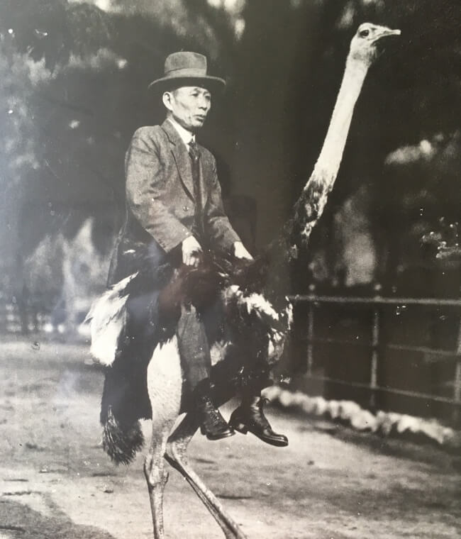 Imoto Shoten Co. Founded in Nagoya City